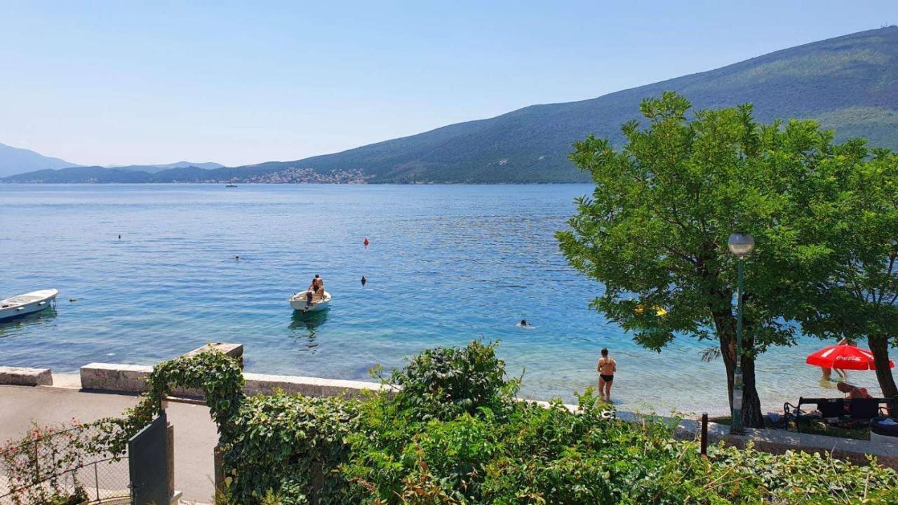 Apartment Dunja Djenovici Herceg Novi Eksteriør bilde