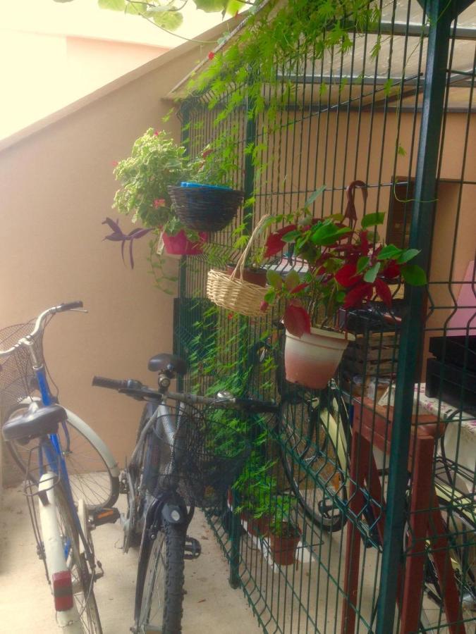 Apartment Dunja Djenovici Herceg Novi Eksteriør bilde