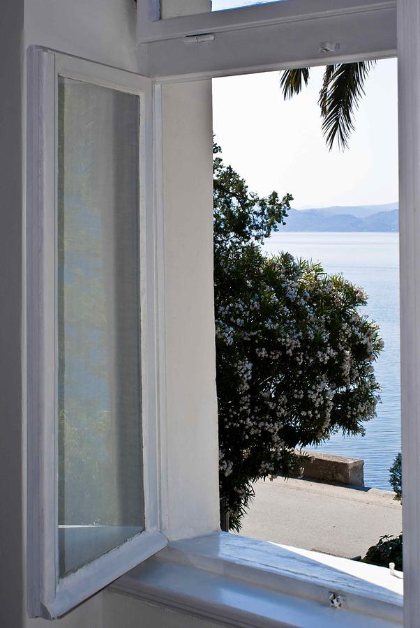 Apartment Dunja Djenovici Herceg Novi Eksteriør bilde